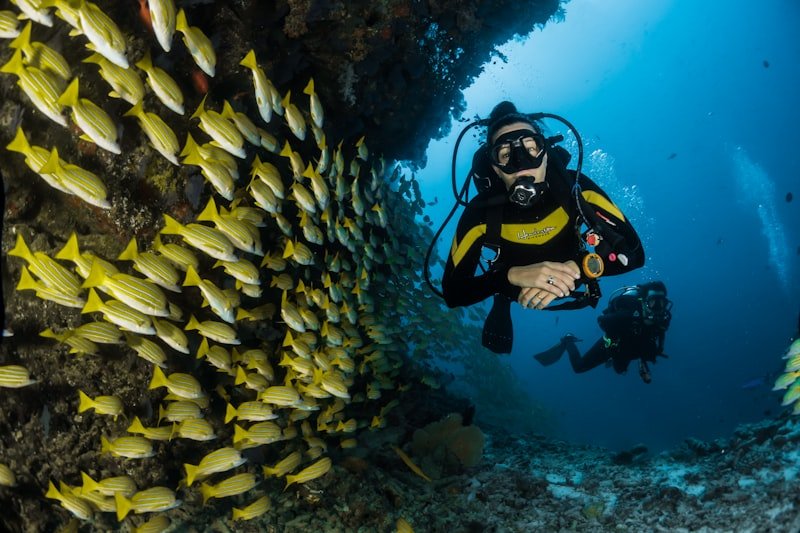 Marine biologist diver carefully transplanting nursery-grown coral fragments onto degraded oceanic reef