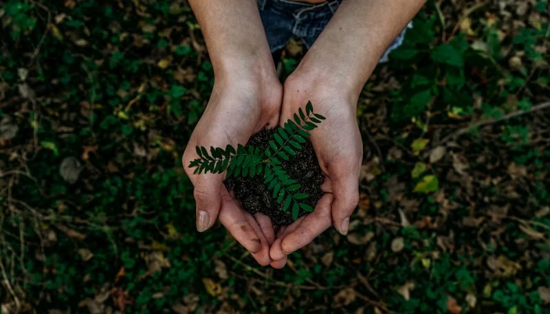 Indigenous community ranger training and grassroots environmental education